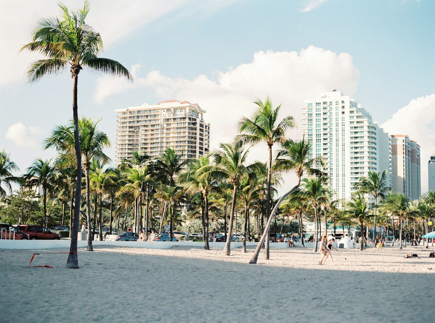 Palm trees along the Florida coast